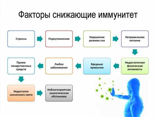 Основу правильного питания должны составлять овощи, фрукты, мясо, рыба и зелень