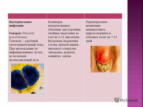 В связи со схожестью клинической симптоматики эти воспалительные процессы принято называть вагинитами или вагинозами