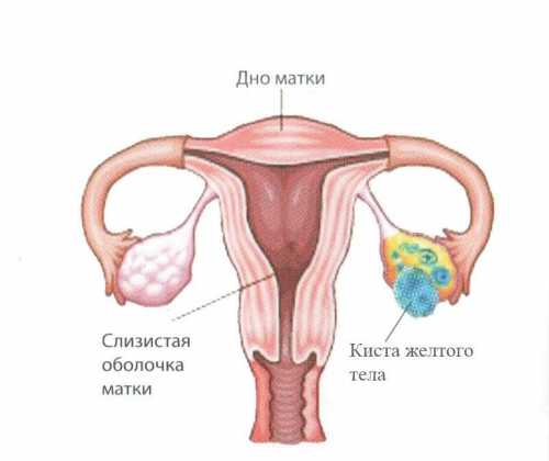 Схожие функции с прогесте роном имеет и эстроген