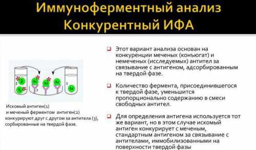 ИФА крайне точный, но не дешевый метод, поэтому обращаться к нему нужно с умом, а интерпретацией результатов должен заниматься квалифицированный врач