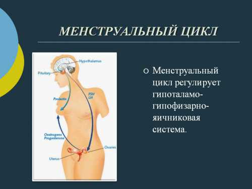 В этом и состоит механизм раннего полового созревания, и, как следствие, наступление ранних месячных