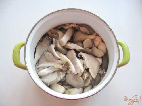 Рецепт варки грибов: сколько варить грибы, как