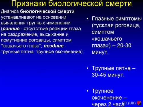 Дыхание можно проконтролировать, если к губам человека поднести зеркало, стекло очков или циферблата наручных часов