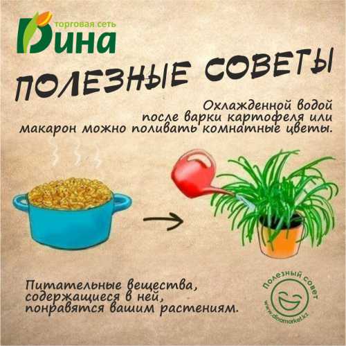 Поддерживает платформы