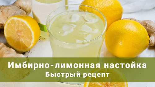 Рецепты лимонных настоек, секреты выбора